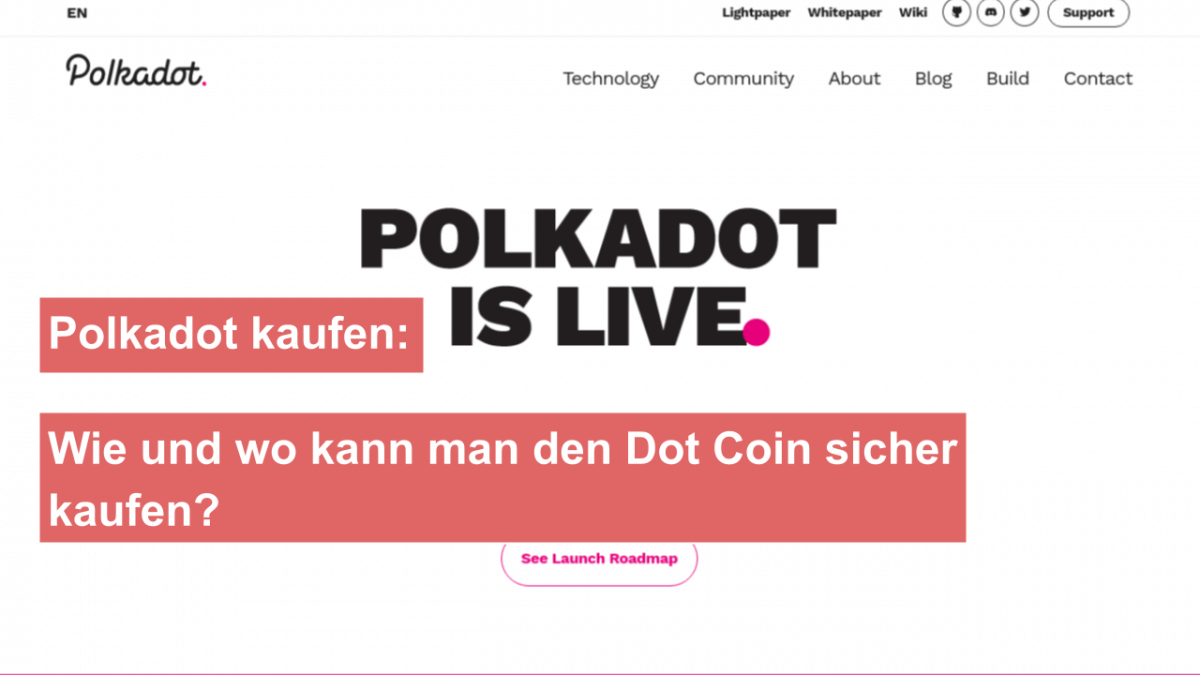 Wie und wo kann man den Polkadot sicher kaufen?