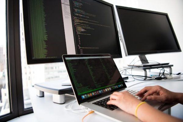 blockchain-entwickler