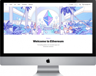 blockchain-programmieren